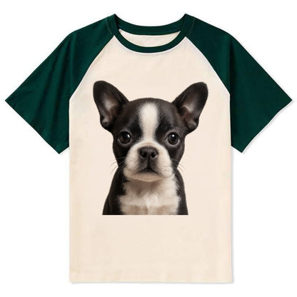 Baby Boston Terrier Puppy - tuxedo markings, big round eyes, bat ears, - Contrast Raglan T-shirt - Green