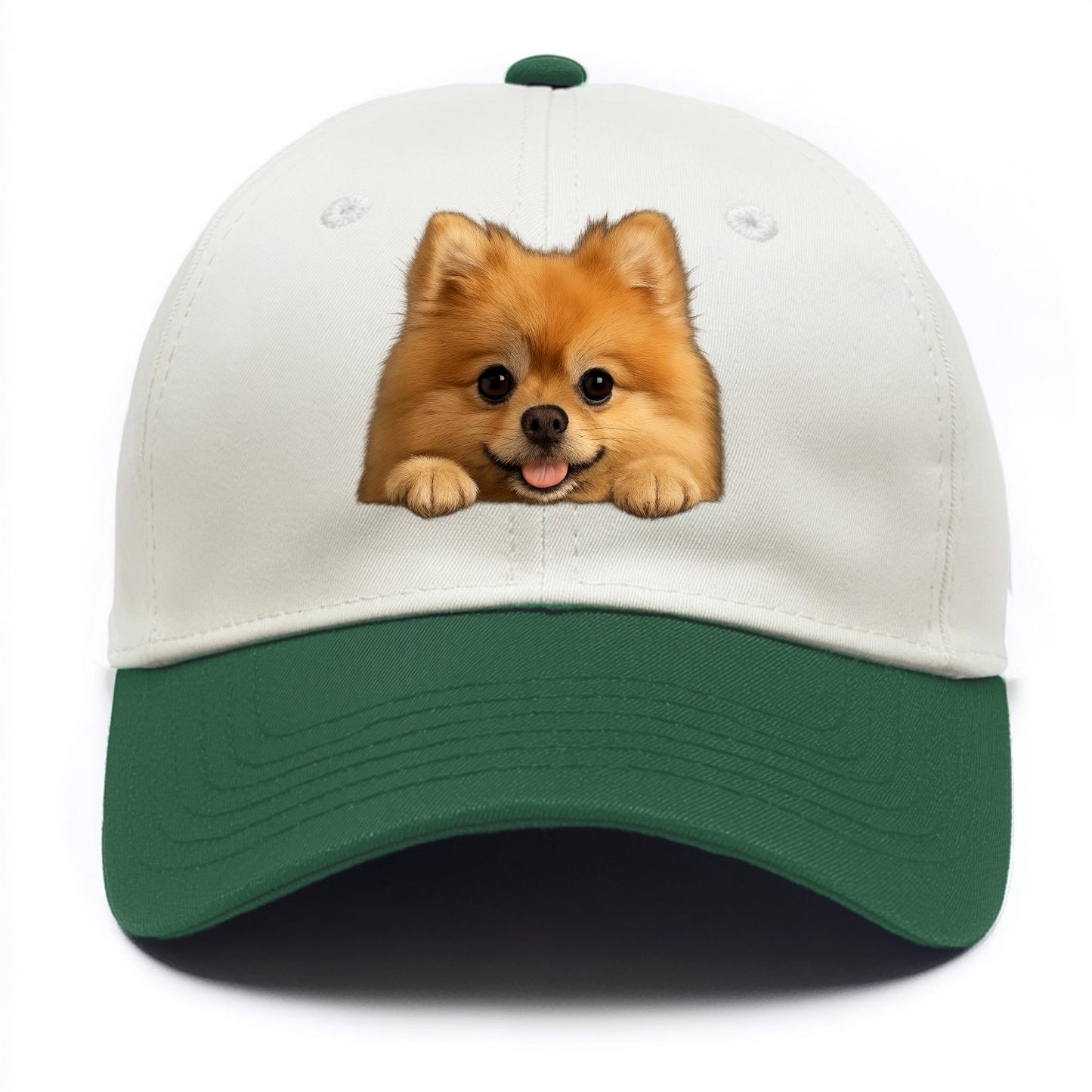 Pomeranian  - Two Tone Cap - Green