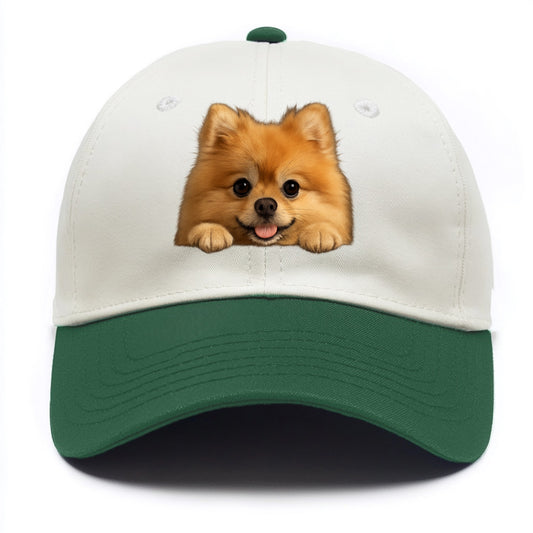 Pomeranian  - Two Tone Cap - Green