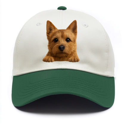 Norwich Terrier  - Two Tone Cap - Green