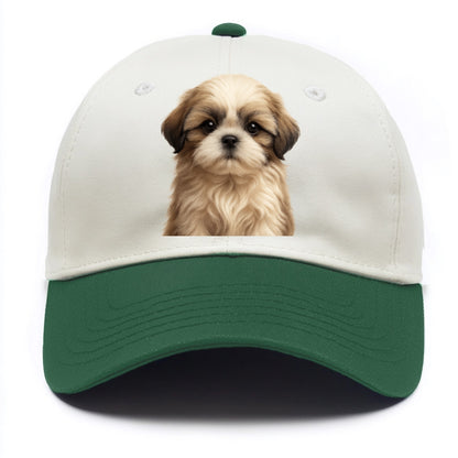 Baby Shih Tzu Puppy - long flowing coat, flat face, big dark eyes, front-facing, - Two Tone Cap - Green