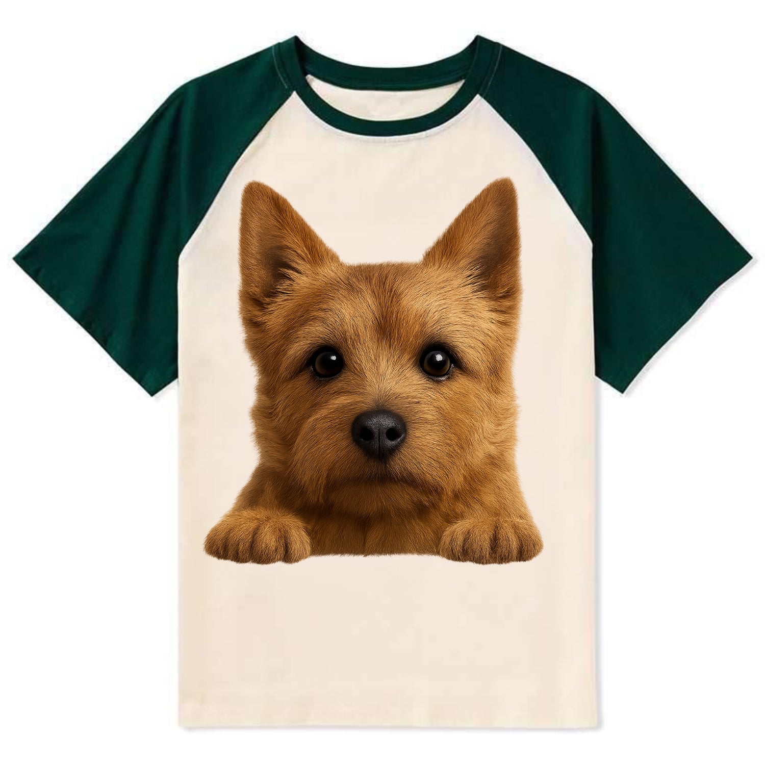 Norwich Terrier  - Contrast Raglan T-shirt - Green