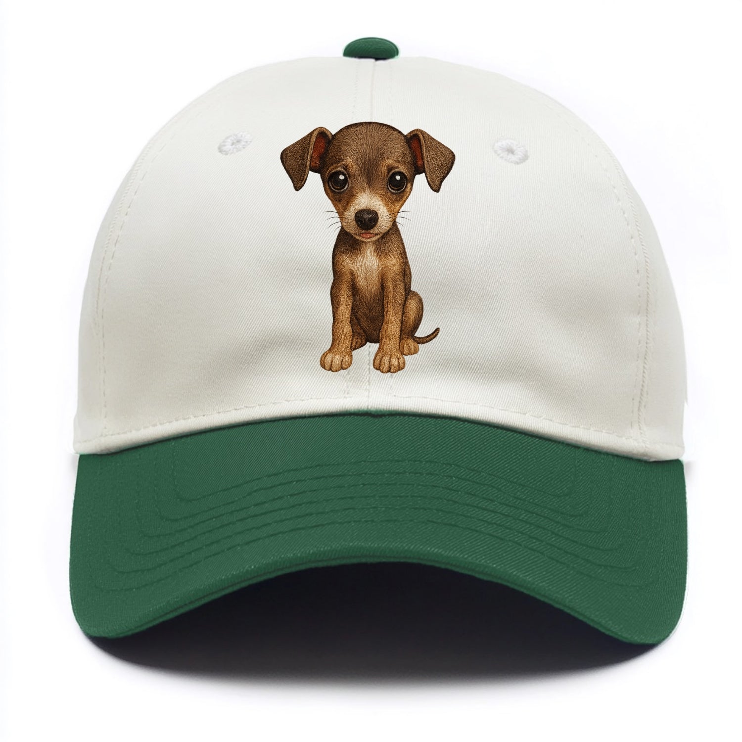 Baby Italian Greyhound Puppy - sleek tiny body, long legs, gentle eyes, - Two Tone Cap - Green