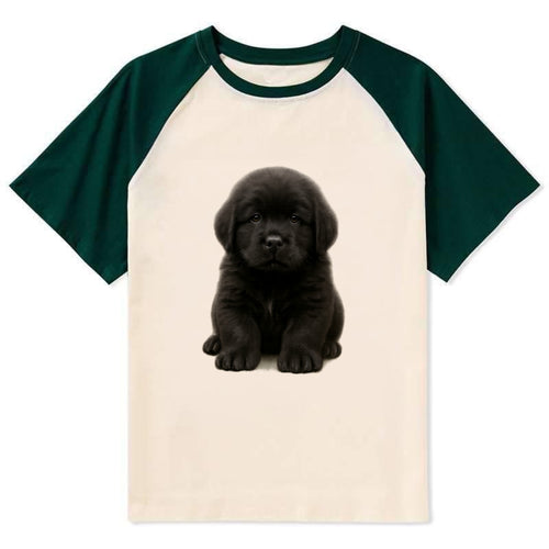 Baby Newfoundland Puppy - giant fluffy black, gentle eyes, webbed paws, - Contrast Raglan T-shirt