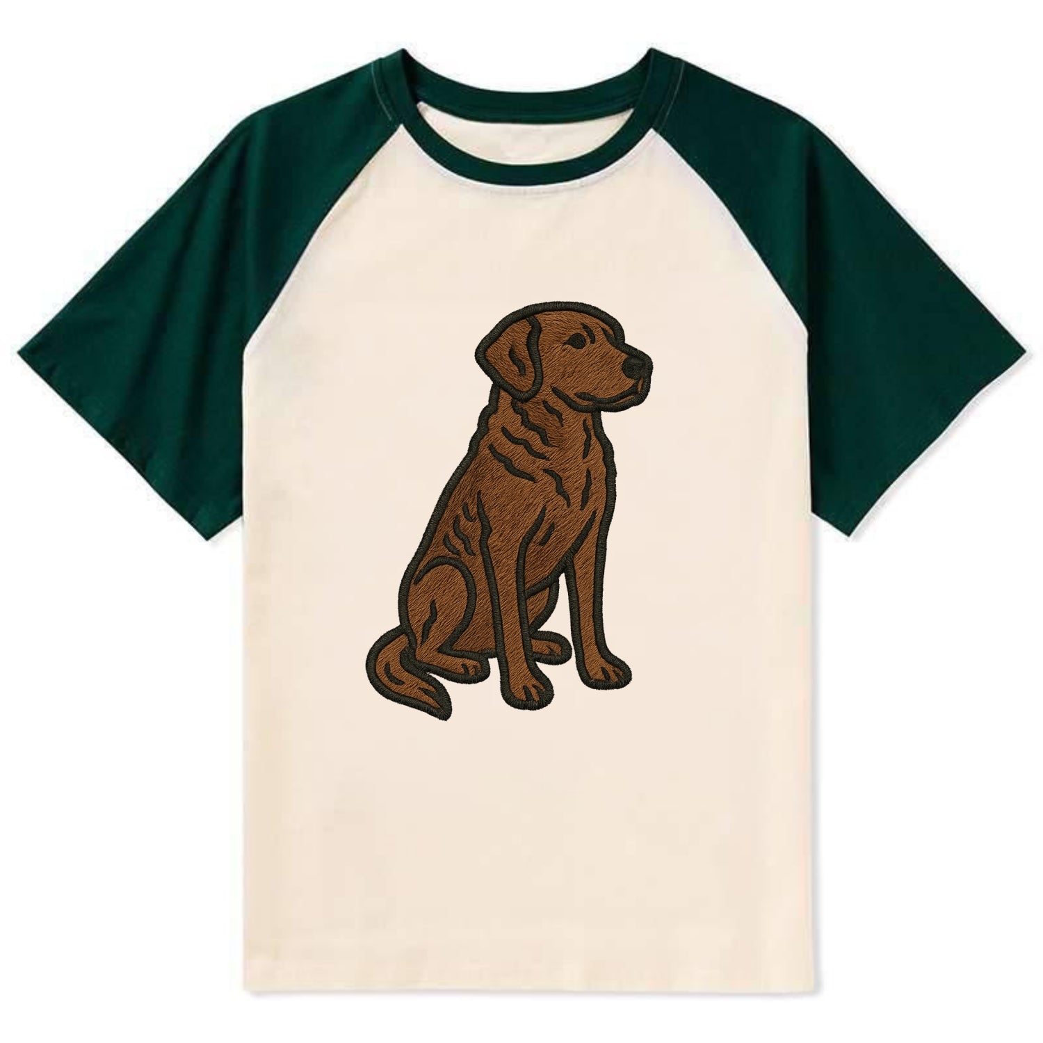 Chesapeake Bay Retriever - Brown wavy coat embroidered sitting pose - Contrast Raglan T-shirt - Green