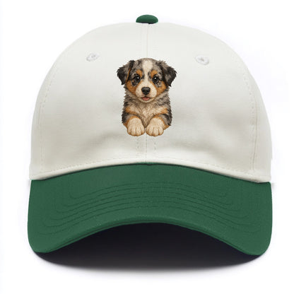 Baby Australian Shepherd Puppy - merle coat, bright eyes, fluffy, front-facing, - Two Tone Cap - Green