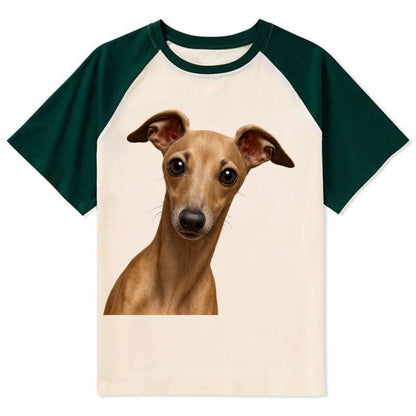 Italian Greyhound  - Contrast Raglan T-shirt - Green