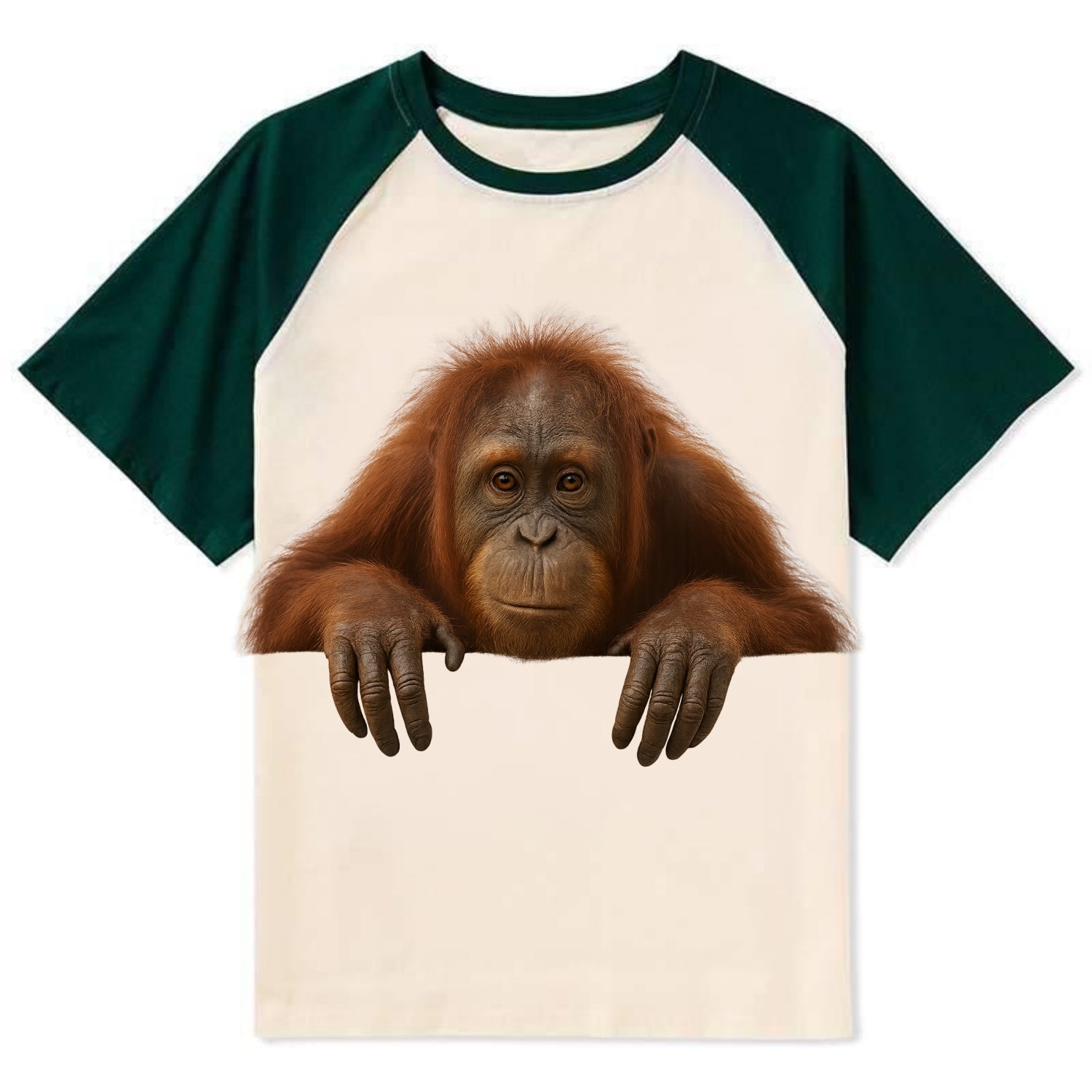 Orangutan  - Contrast Raglan T-shirt - Green