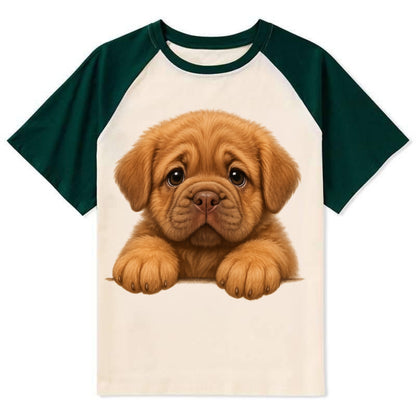 Neapolitan Mastiff  - Contrast Raglan T-shirt - Green
