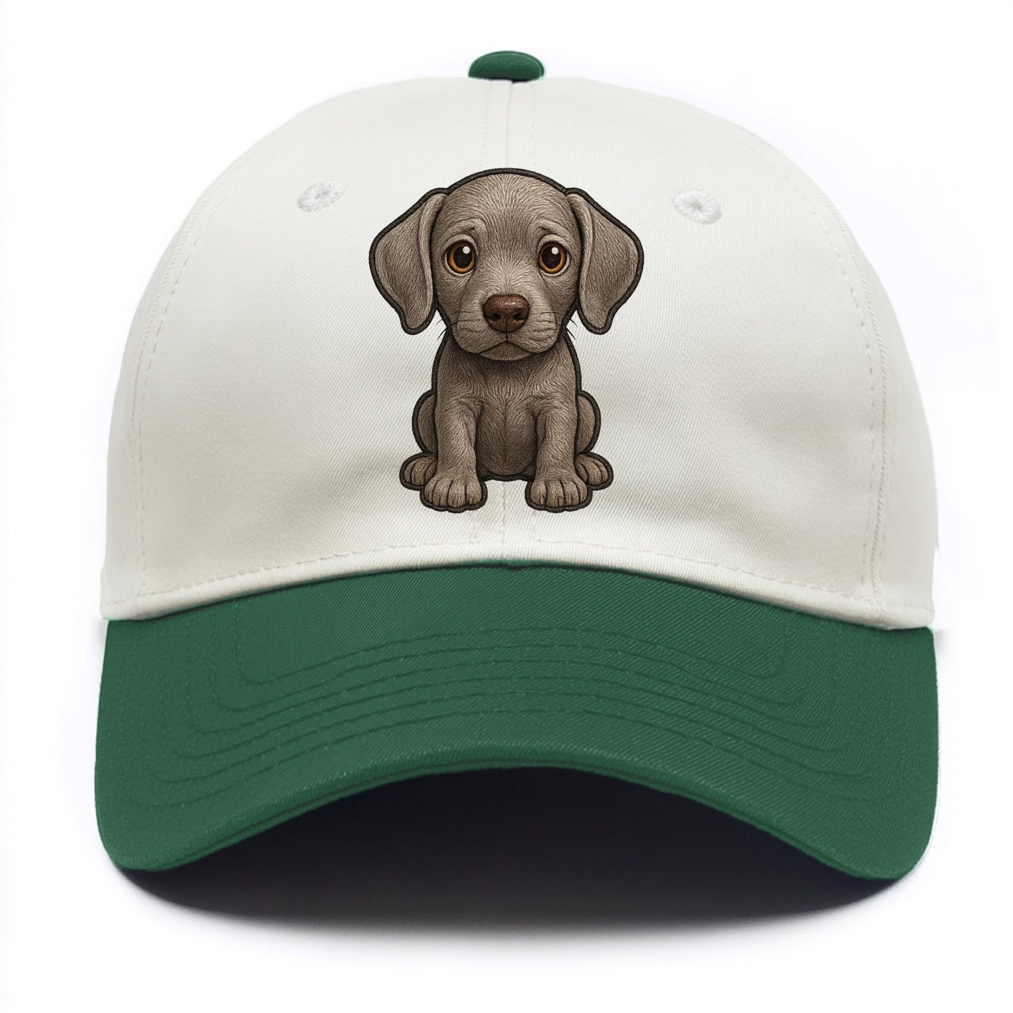 Baby Weimaraner Puppy - silver-gray coat, amber eyes, sleek body, front-facing, - Two Tone Cap - Green