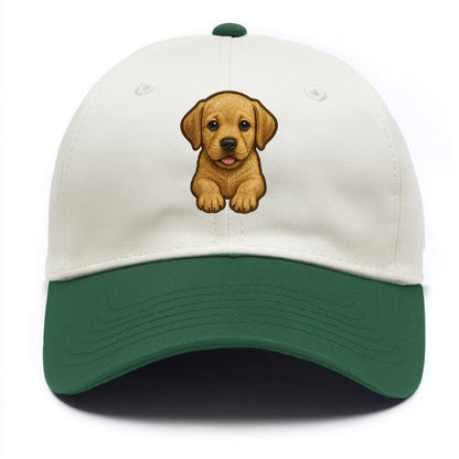 Baby Labrador Retriever Puppy - yellow/black/chocolate, soulful eyes, soft ears, - Two Tone Cap - Green