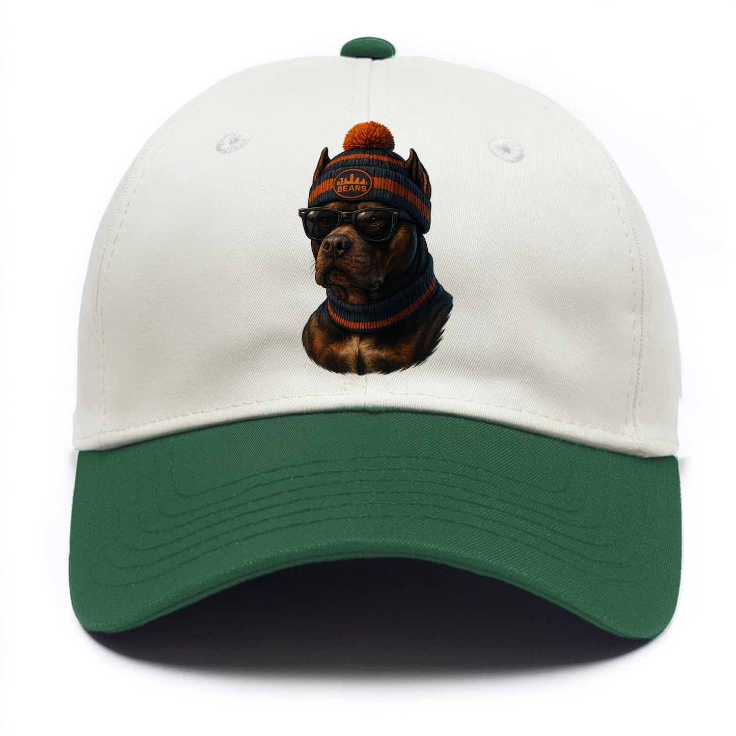 Chicago Pitbull wearing Bears beanie with skyline patch and wayfarer sunglasses - Two Tone Cap - Green