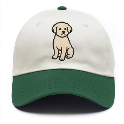 Maltipoo - White curly sitting pose - Two Tone Cap - Green