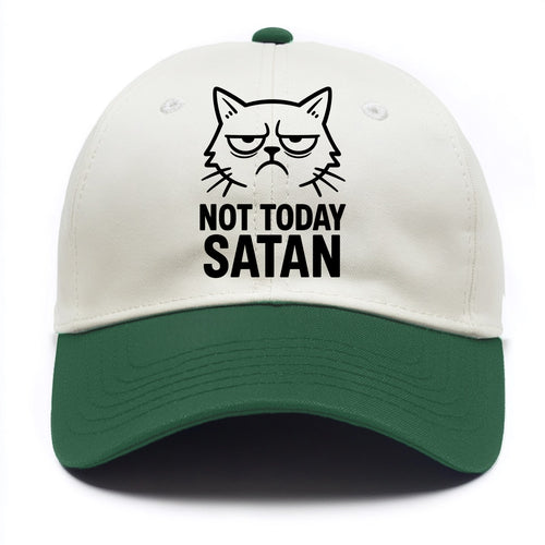 Monday Mood Cat - Two Tone Cap