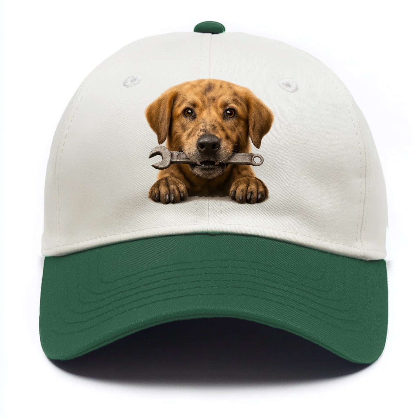 Mechanic Dog  - Two Tone Cap - Green