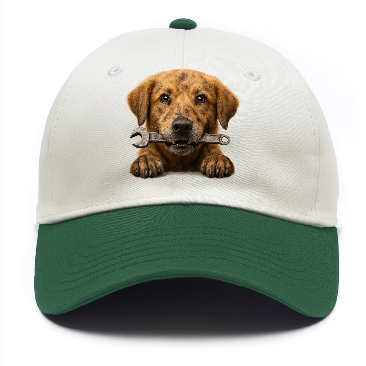 Mechanic Dog  - Two Tone Cap - Green