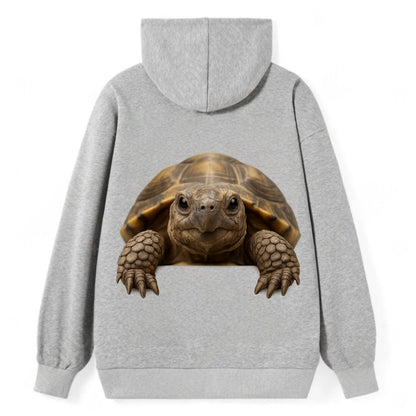 Tortoise  - Classic Pullover Hoodie - Grey
