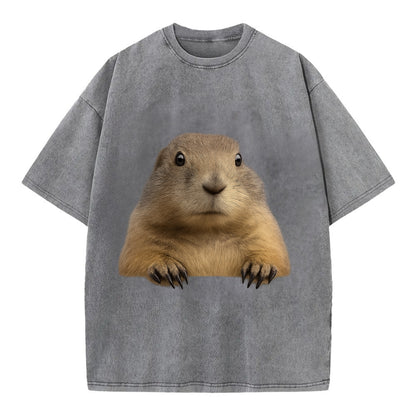 Prairie Dog  - Vintage T-shirt - Grey