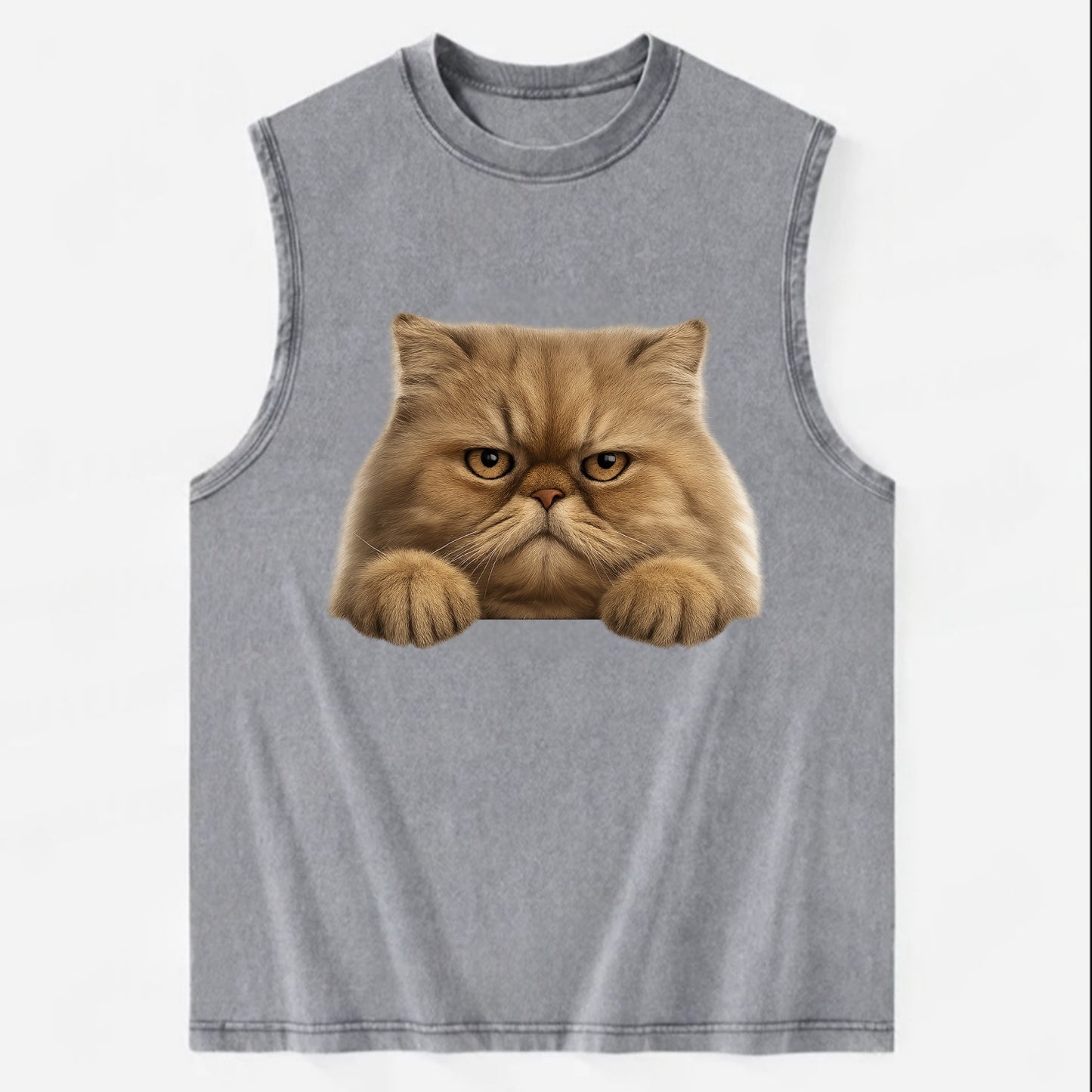 Persian Cat  - Vintage Washed Tank - Grey