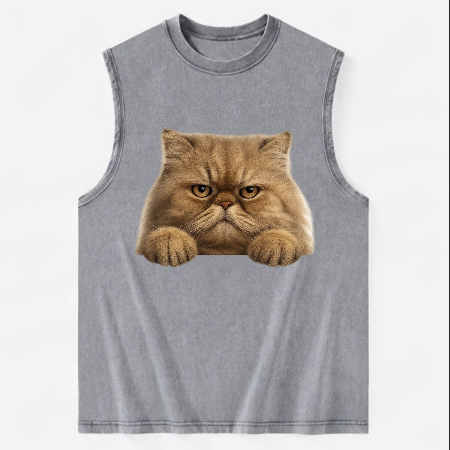 Persian Cat  - Vintage Washed Tank - Grey