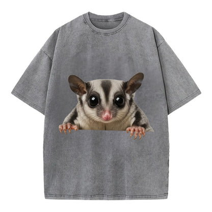 Sugar Glider  - Vintage T-shirt - Grey