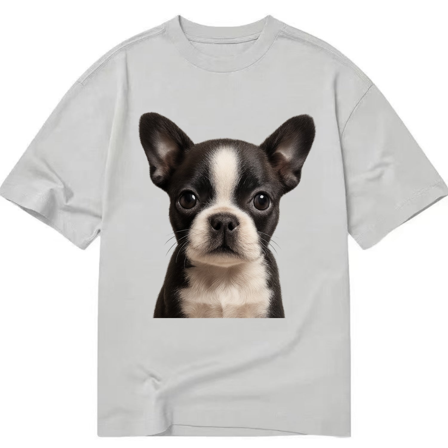 Baby Boston Terrier Puppy - tuxedo markings, big round eyes, bat ears, - Classic T-shirt - Grey