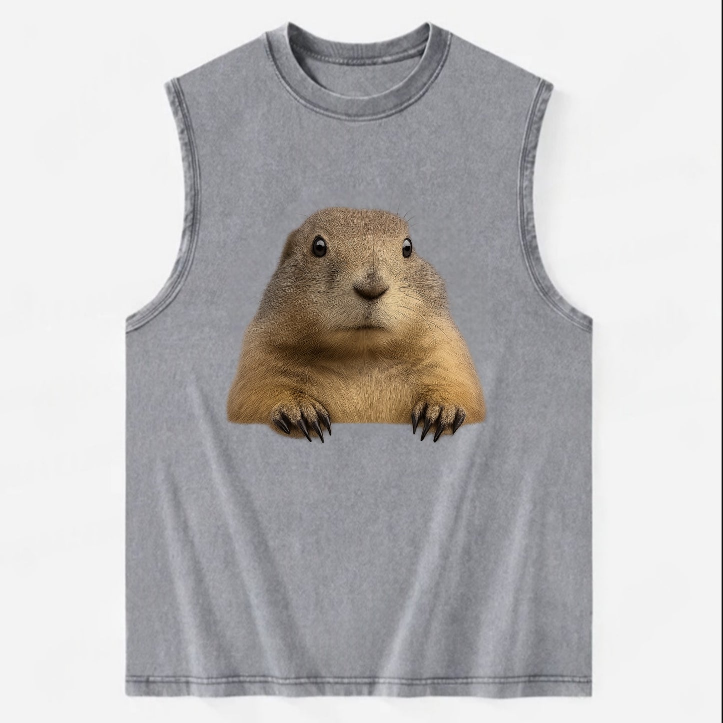 Prairie Dog  - Vintage Washed Tank - Grey