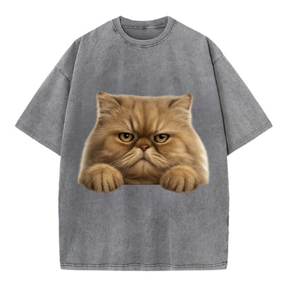 Persian Cat  - Vintage T-shirt - Grey