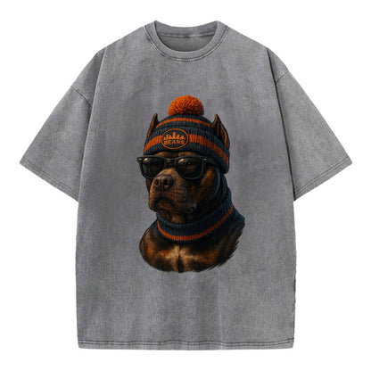 Chicago Pitbull wearing Bears beanie with skyline patch and wayfarer sunglasses - Vintage T-shirt - Grey