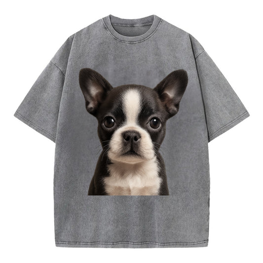 Baby Boston Terrier Puppy - tuxedo markings, big round eyes, bat ears, - Vintage T-shirt - Grey