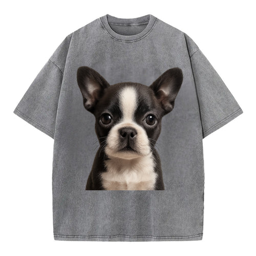 Baby Boston Terrier Puppy - tuxedo markings, big round eyes, bat ears, - Vintage T-shirt