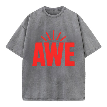 Bold typography design - "AWE" - overwhelming wonder - Vintage T-shirt - Grey