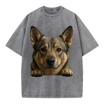 Swedish Vallhund  - Vintage T-shirt - Grey