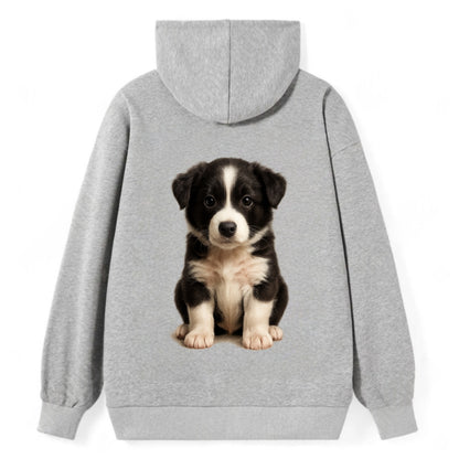 Baby Border Collie Puppy - black and white, intense smart eyes, athletic - Classic Pullover Hoodie - Grey