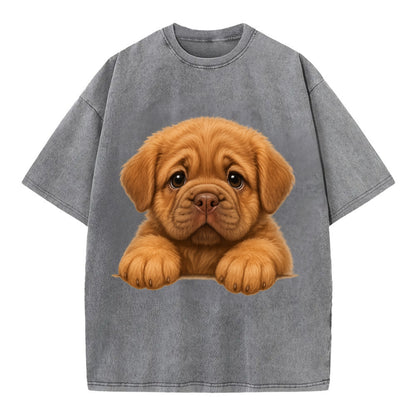 Neapolitan Mastiff  - Vintage T-shirt - Grey
