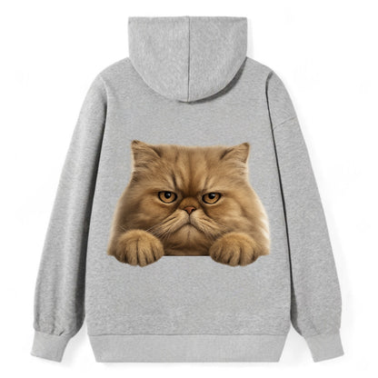 Persian Cat  - Classic Pullover Hoodie - Grey