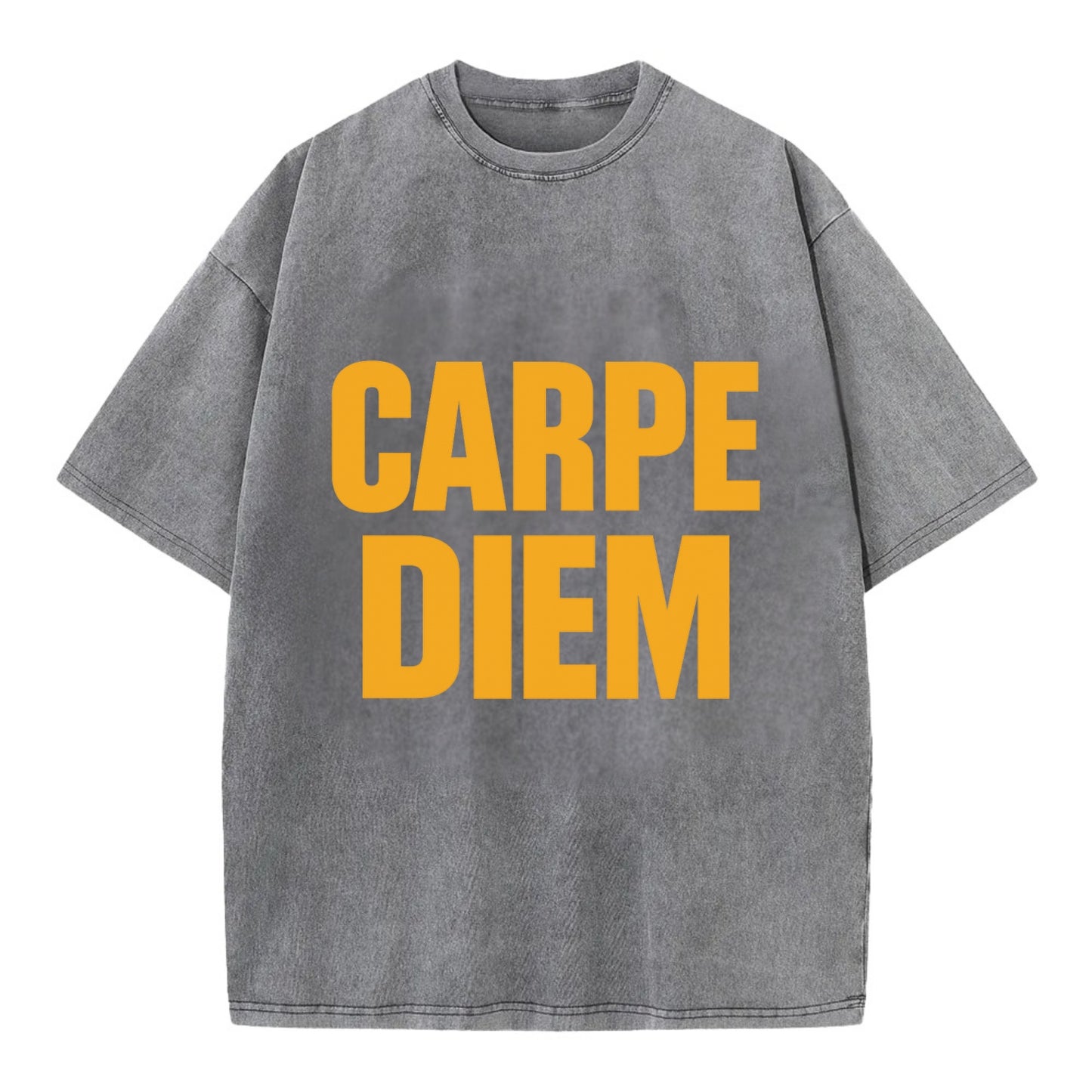 Bold typography design - "CARPE DIEM" - seize the day - Vintage T-shirt - Grey
