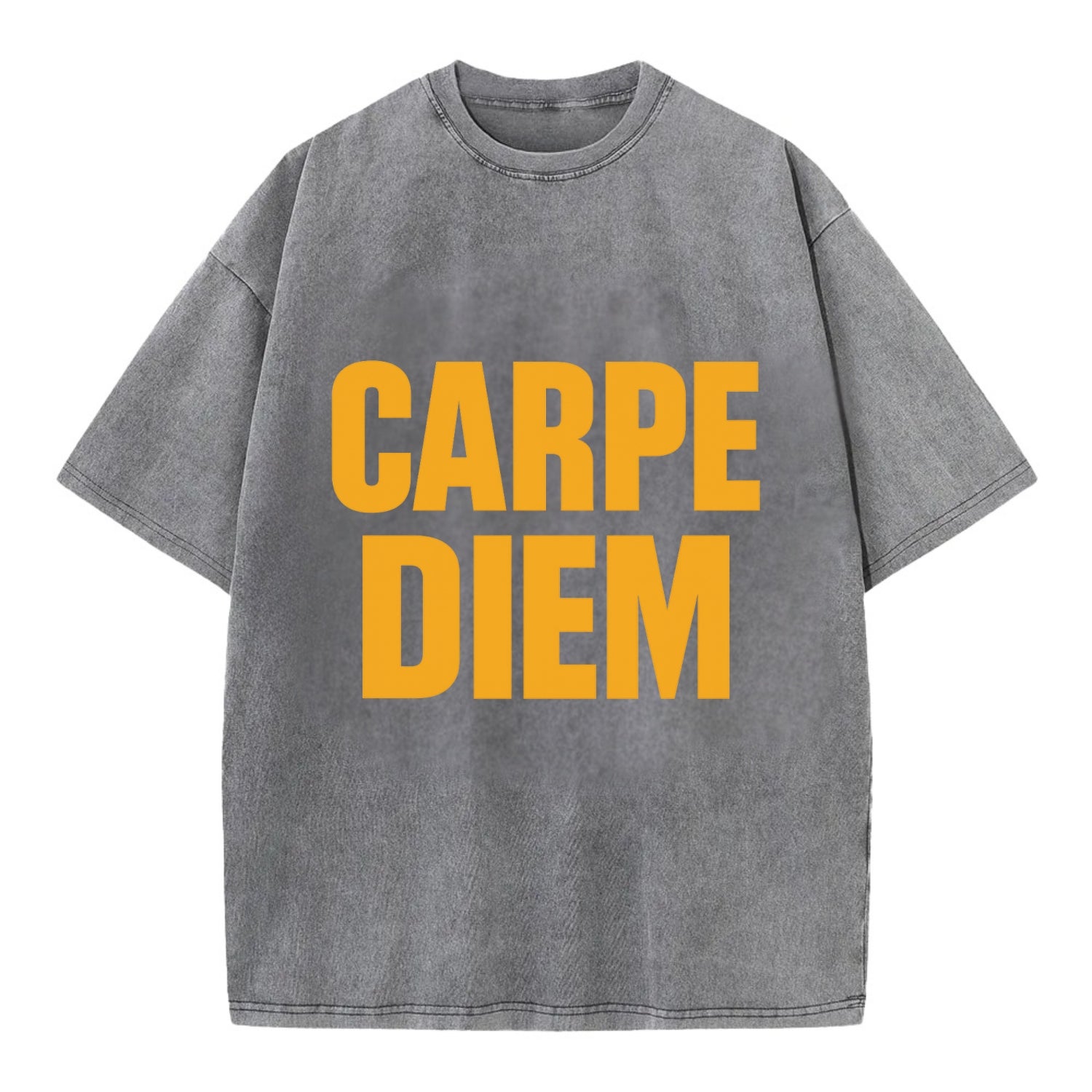 Bold typography design - "CARPE DIEM" - seize the day - Vintage T-shirt - Grey