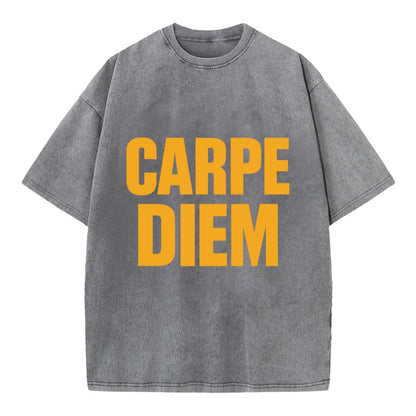 Bold typography design - "CARPE DIEM" - seize the day - Vintage T-shirt - Grey