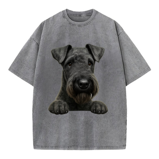 Kerry Blue Terrier  - Vintage T-shirt - Grey