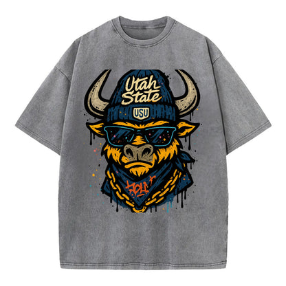 Logan Aggie wearing Utah State beanie with USU patch - Vintage T-shirt - Grey