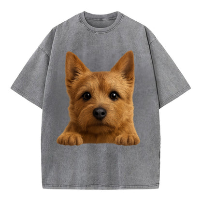 Norwich Terrier  - Vintage T-shirt - Grey