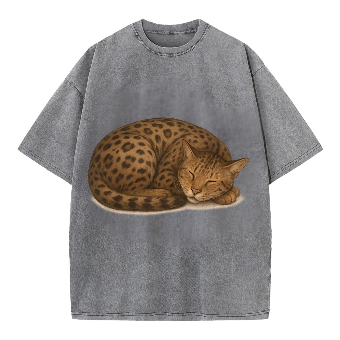 Ashera  - Vintage T-shirt - Grey