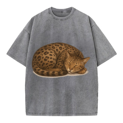 Ashera  - Vintage T-shirt - Grey