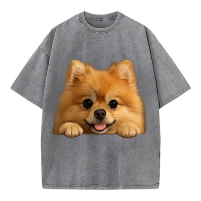 Pomeranian  - Vintage T-shirt - Grey