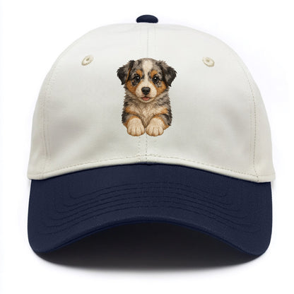Baby Australian Shepherd Puppy - merle coat, bright eyes, fluffy, front-facing, - Two Tone Cap - Navy