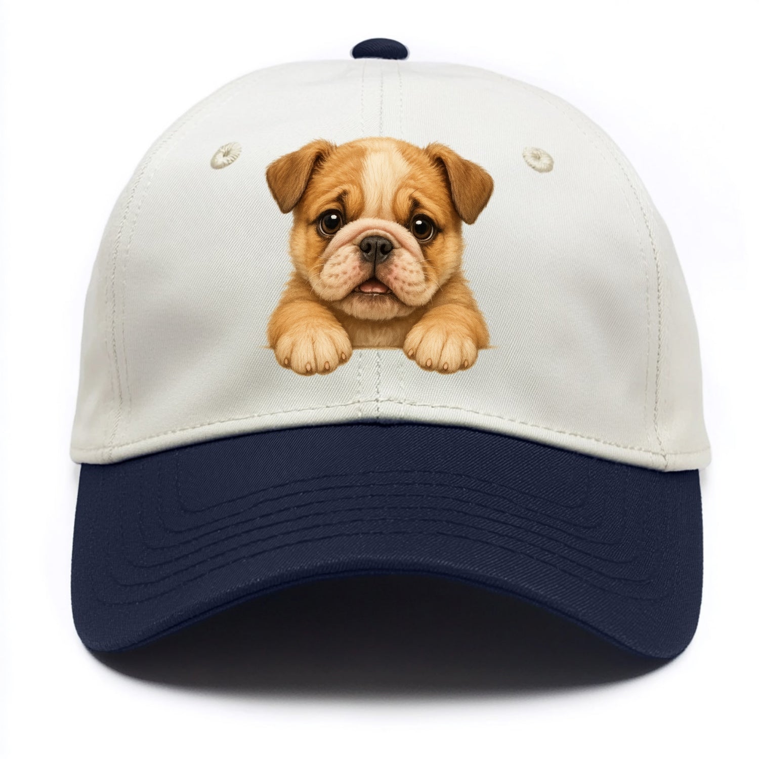 Bulldog  - Two Tone Cap - Navy