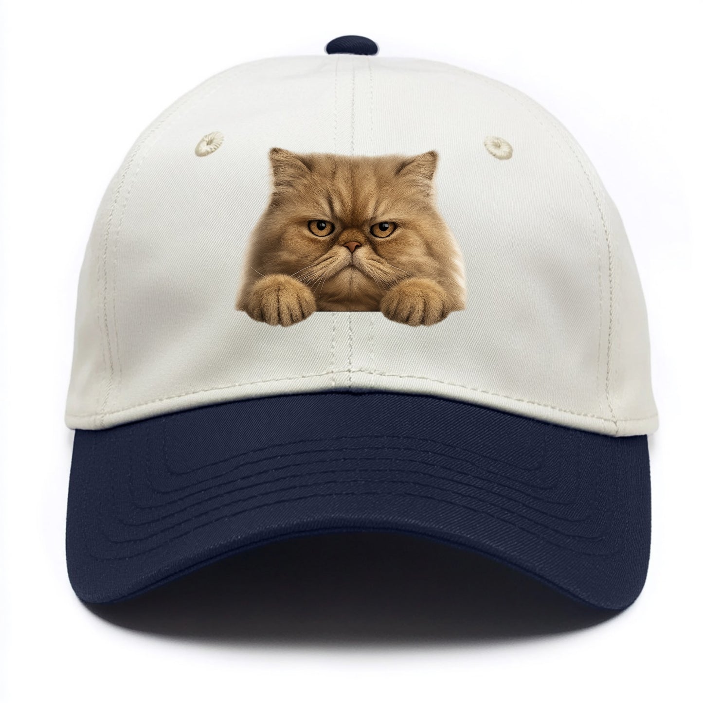 Persian Cat  - Two Tone Cap - Navy