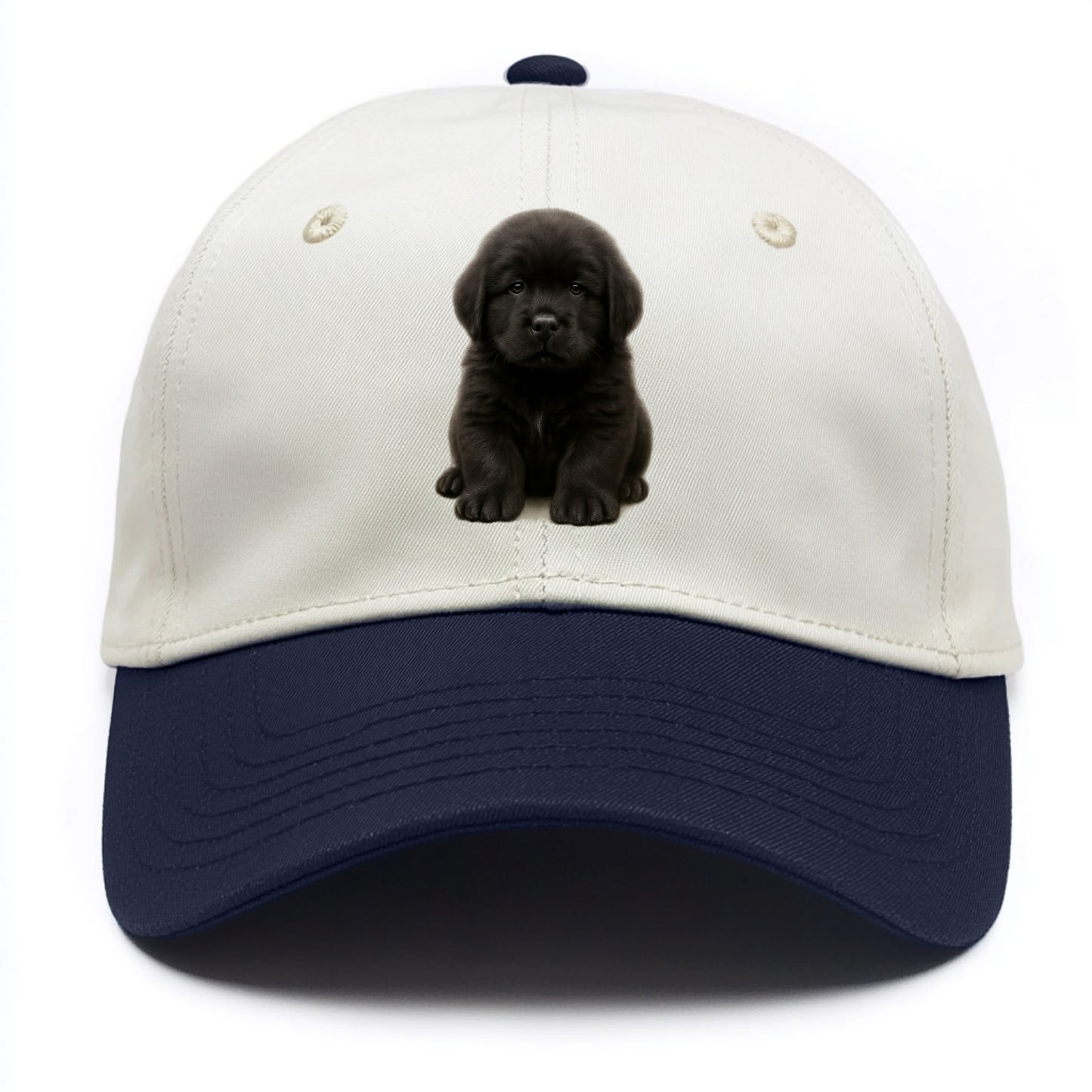 Baby Newfoundland Puppy - giant fluffy black, gentle eyes, webbed paws, - Two Tone Cap - Navy
