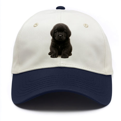 Baby Newfoundland Puppy - giant fluffy black, gentle eyes, webbed paws, - Two Tone Cap